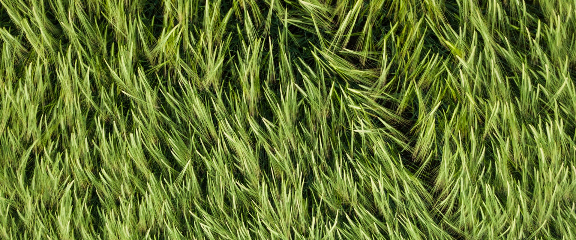 s4