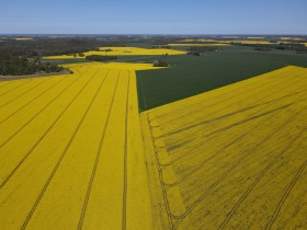 DJI_0184